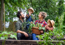 How to Live a Balanced Lifestyle Naturally: A Simple Guide to Healthy and Happy Living tophillssport.com